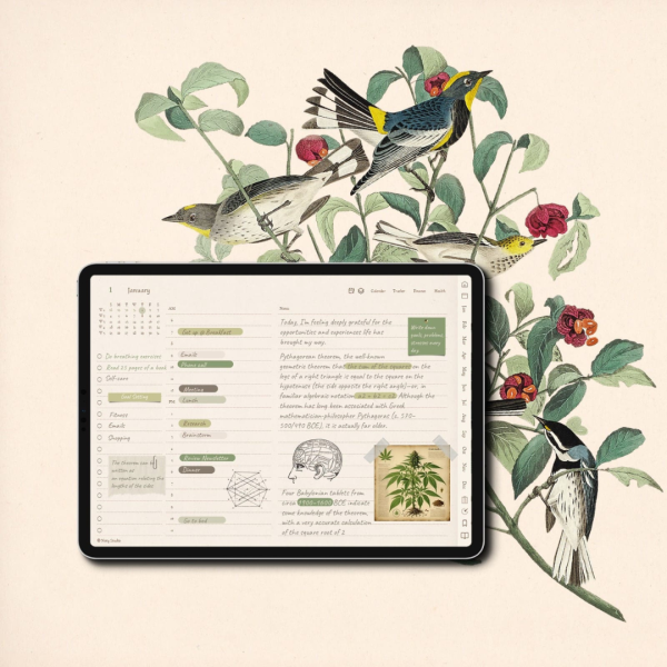 2025 & 2026 Digital Planner Templates Bundle - Image 3