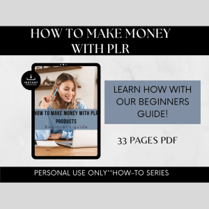 How to Make Money with PLR eBook | 33-Page Beginner’s Guide | Personal Use | Start Your PLR Business
