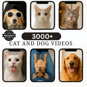 Resellable Viral Funny Bundle: 3k+ Cat & Dog Videos