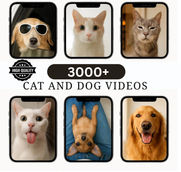 Resellable Viral Funny Bundle: 3k+ Cat & Dog Videos