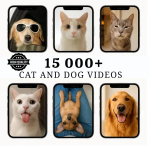 Viral Funny Bundle: 15k+ Cat & Dog Videos