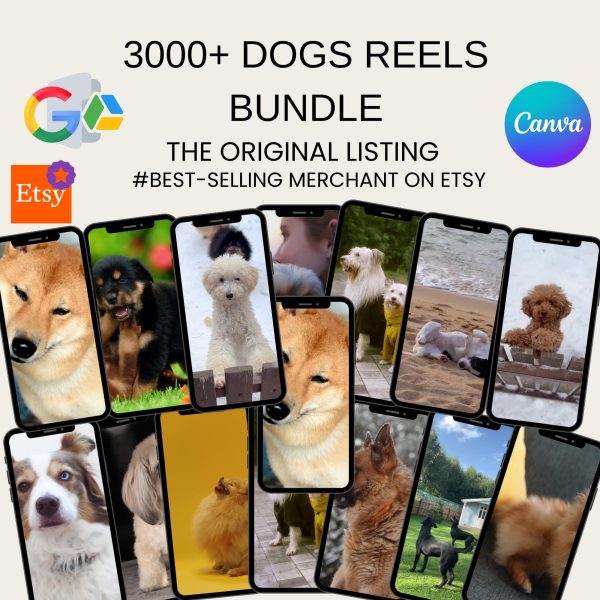 Resellable 10,000+ Viral Reels Bundle | Dogs, Luxury Hotels, Funny Cats, Travel, Fitness, Cars, Space, Nature, Business - Image 2