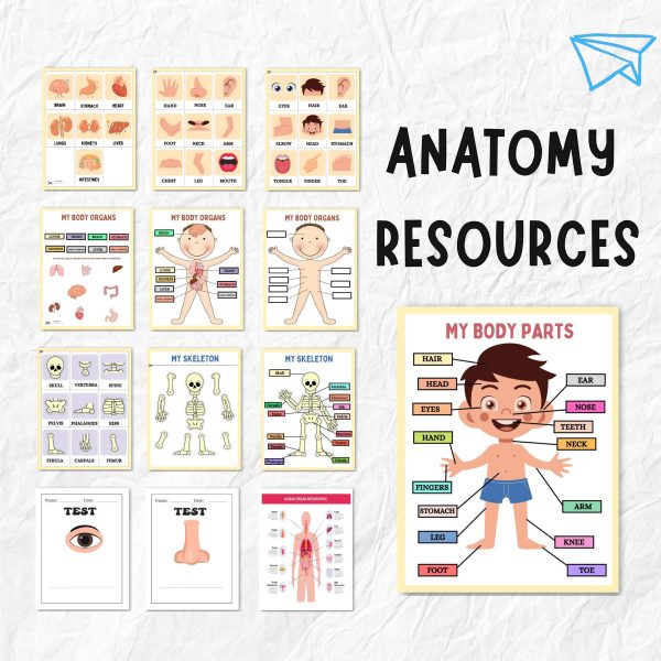 Ultimate Kids Learning Mega Bundle | PLR & MRR Preschool Worksheets, Chore Charts, Planners & Printables - Image 5