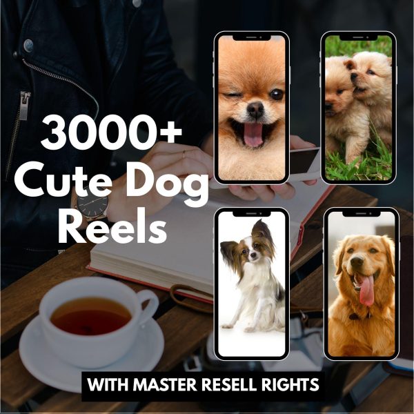 Resellable 12,000+ Viral Luxury Reels & Creator Bundle – 4K Videos with MRR & PLR - Image 6