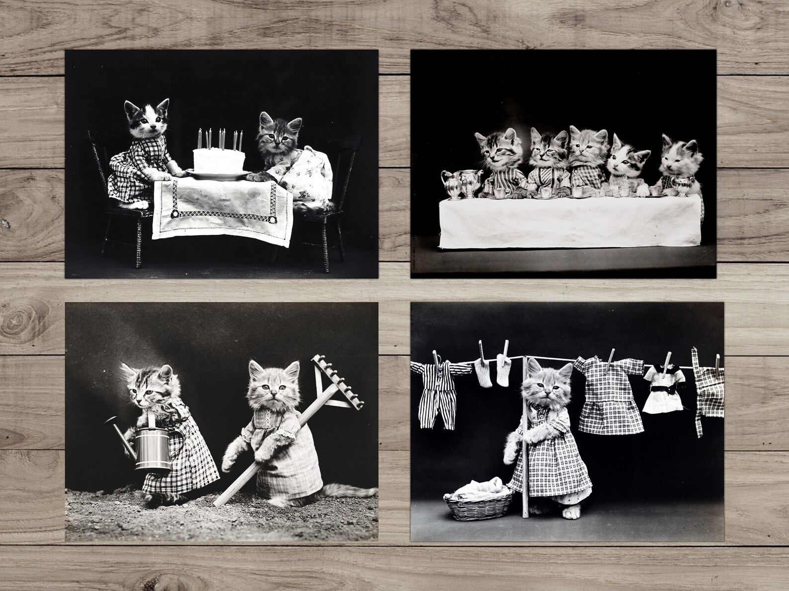 Vintage Cat Ephemera Pack β 100 Cats in Costumes π±π©β¨
