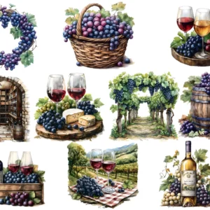 25 Vineyard & Grape Watercolor Illustrations – Instant Download 🍇🎨