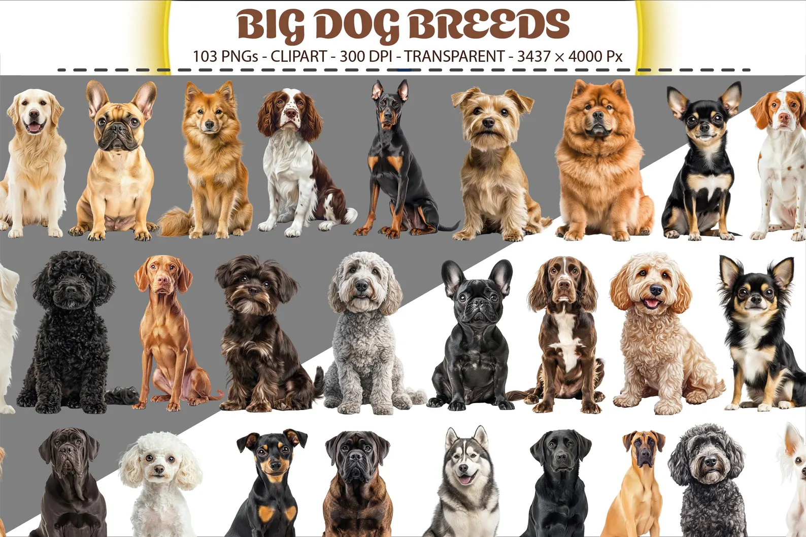 623 Dog Illustration Clipart Bundle β Full-Body Dog Breeds PNGs ππ¨