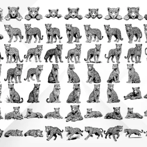 69 Leopard & Dolphin SVG Bundle • Wild Jungle Leopards + Cute Ocean Dolphins • Cutting Files SVG PNG EPS PDF for Cricut & Laser Engraving 🐆🌿🌊🐬✨