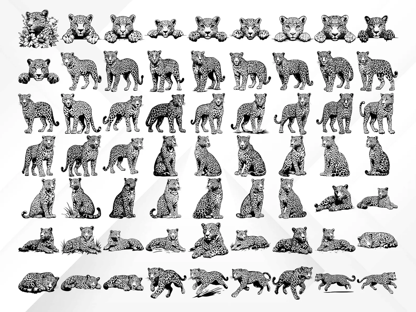 69 Leopard & Dolphin SVG Bundle β’ Wild Jungle Leopards + Cute Ocean Dolphins β’ Cutting Files SVG PNG EPS PDF for Cricut & Laser Engraving ππΏππ¬β¨